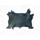 FROG WHOLE  SKIN BLUE SHINY / ca. 10x4cm